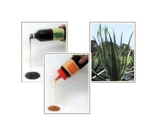 GRAN AZZURRI | 二子玉川のヘアサロン GRAN AZZURRI | 二子玉川のヘアサロン