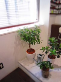 BOASORTE | 渋谷のヘアサロン BOASORTE | 渋谷のヘアサロン