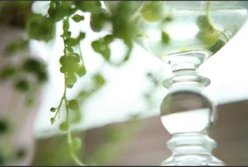 Door | 代官山のヘアサロン Door | 代官山のヘアサロン