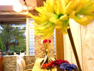 alpaca | 新宿のヘアサロン alpaca | 新宿のヘアサロン