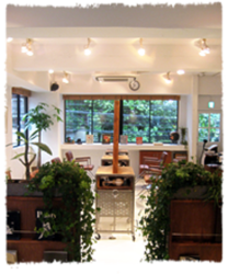 drop | 表参道のヘアサロン