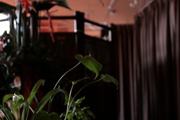 指ラックス 渋谷東口店 | 渋谷のリラクゼーション 指ラックス 渋谷東口店 | 渋谷のリラクゼーション