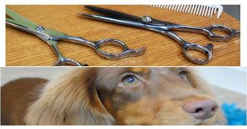 美容室 ムーンボゥ | 国分寺のヘアサロン