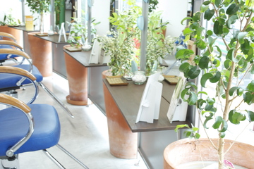 Be-done | ひばりが丘のヘアサロン Be-done | ひばりが丘のヘアサロン