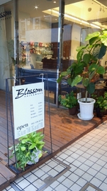 HAIR & MAKE Blossom ひばりヶ丘店 | ひばりが丘のヘアサロン