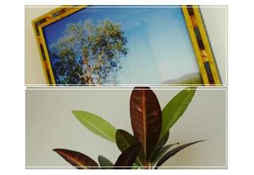 cliniczone vivarc | 立川のヘアサロン cliniczone vivarc | 立川のヘアサロン