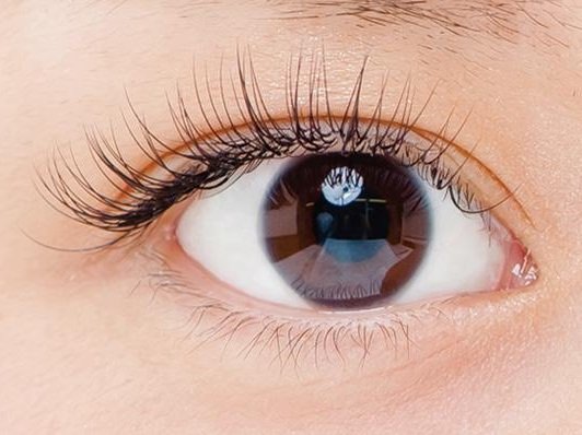 frau 新百合ヶ丘本店 | 新百合ヶ丘のアイラッシュ frau 新百合ヶ丘本店 | 新百合ヶ丘のアイラッシュ