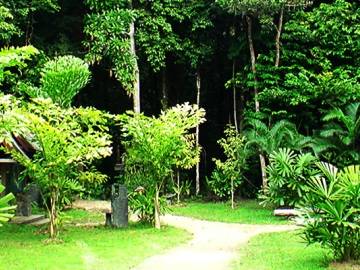 Safari | 桜木町のヘアサロン Safari | 桜木町のヘアサロン