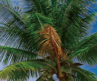 美容室 Makana マカナ | たまプラーザのヘアサロン