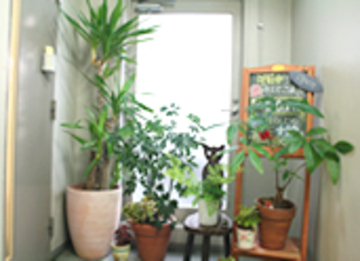 Relax YOKOHAMA | 港北ニュータウンのリラクゼーション Relax YOKOHAMA | 港北ニュータウンのリラクゼーション