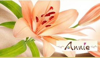 脱毛サロン Annie～アニー～ | 小田原のエステサロン