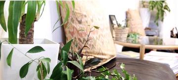 NAILSALON Payu | 鎌倉のネイルサロン