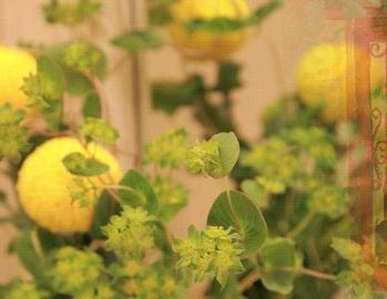 HairGarden StrawberryFields RedDoor | 与野のヘアサロン