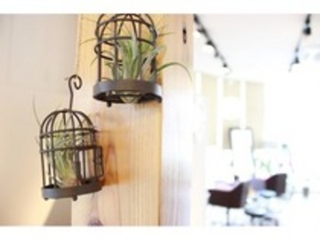 le:fro:m | 草加のヘアサロン