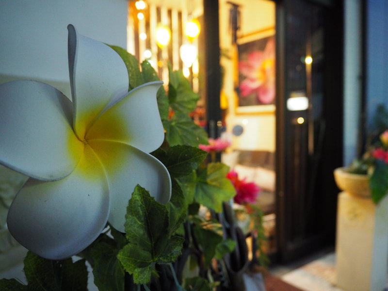 Hair resort spa mimpi | 野田のヘアサロン Hair resort spa mimpi | 野田のヘアサロン