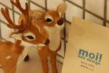 moi! hair design美容室 | 津田沼のヘアサロン