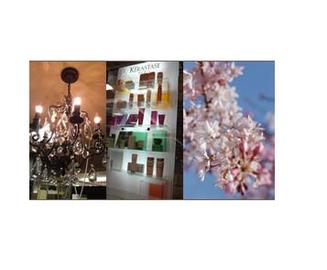 LAPIS ララスクエア店 | 宇都宮のヘアサロン