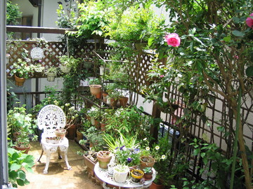 ハーブ＆アロマハウスＣＡＴＭＩＮＴ | 牛久のリラクゼーション