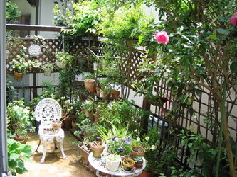 ハーブ＆アロマハウスＣＡＴＭＩＮＴ | 牛久のリラクゼーション