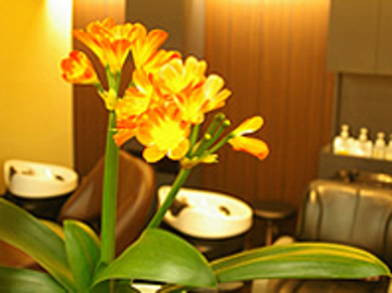 ビューティーサロン　カトウ | 新潟のヘアサロン