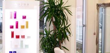 hair make B Aube | 新潟のヘアサロン hair make B Aube | 新潟のヘアサロン