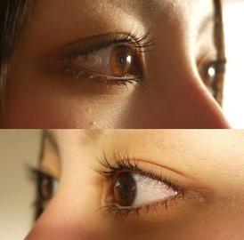 Riche Maria Rose-アイラッシュ- | 金沢のアイラッシュ