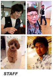 CINQ ...sapporo shop... | すすきののヘアサロン