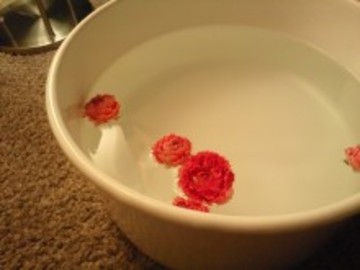 フィトナチューラ　旭川店 | 旭川のリラクゼーション