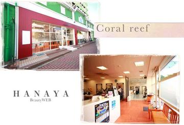 Coralreef | 八戸のヘアサロン Coralreef | 八戸のヘアサロン