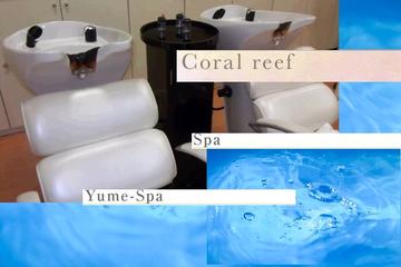 Coralreef | 八戸のヘアサロン Coralreef | 八戸のヘアサロン