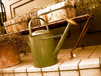 ＧＡＲＧＯＹＬＬＥ | 仙台のヘアサロン