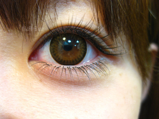 Nail & Eyelash Bee 福島西店 | 福島のアイラッシュ Nail & Eyelash Bee 福島西店 | 福島のアイラッシュ