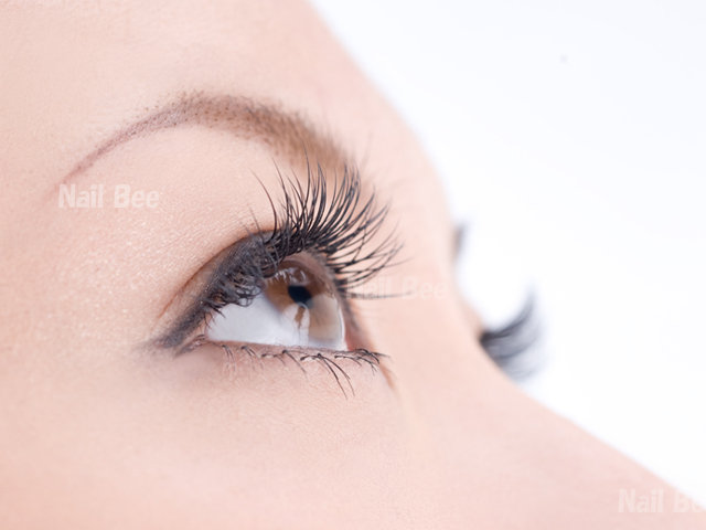 Nail & Eyelash Bee 福島西店 | 福島のアイラッシュ Nail & Eyelash Bee 福島西店 | 福島のアイラッシュ
