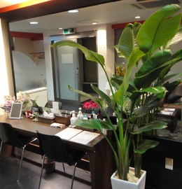 ＷＩＬＬ ＥＸＴＥＮＳＩＯＮ | 小岩のアイラッシュ