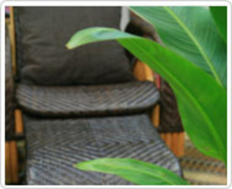 ネイルサロンアジアン 池袋店 | 池袋のネイルサロン ネイルサロンアジアン 池袋店 | 池袋のネイルサロン