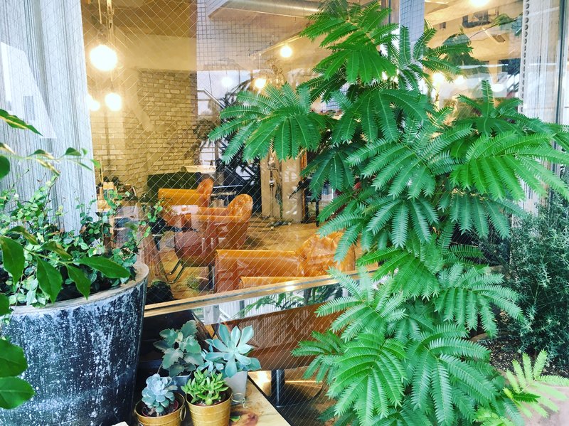 hair salon ort | 多摩のヘアサロン