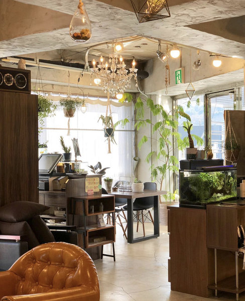 hair salon ort | 多摩のヘアサロン