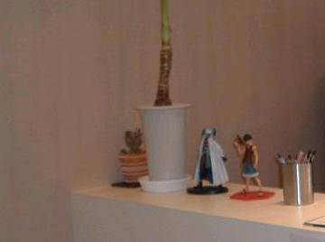 Half Backs ぐりーんうぉーく多摩店 | 八王子のヘアサロン Half Backs ぐりーんうぉーく多摩店 | 八王子のヘアサロン