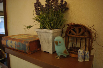 aZUR | 横須賀のヘアサロン aZUR | 横須賀のヘアサロン