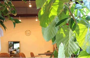 ＧＬＡＮＺ designer' salon | 横須賀のヘアサロン