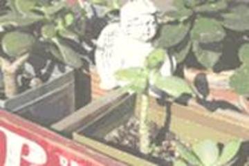 ange | 大船のヘアサロン