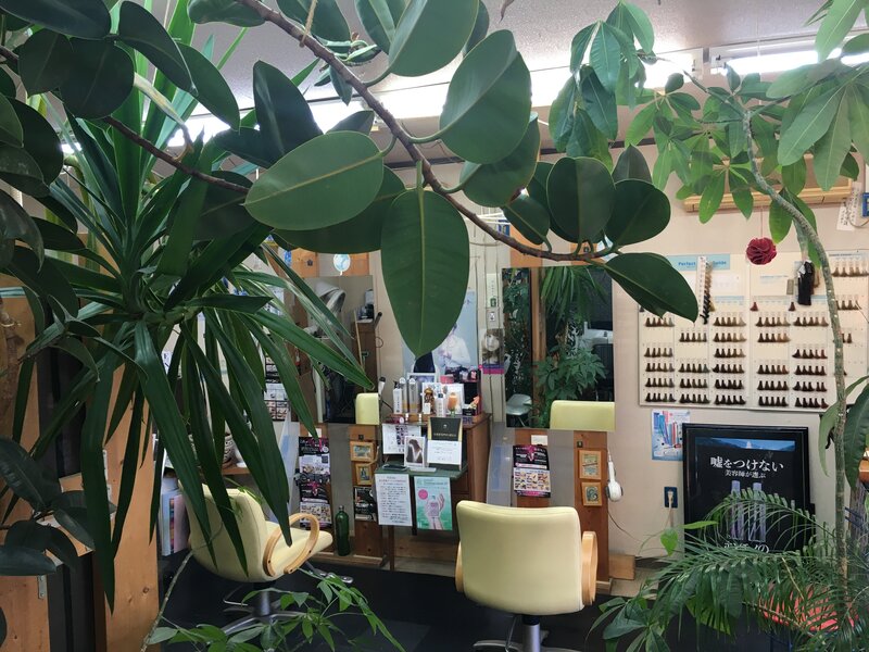 Hair shop clia | 所沢のヘアサロン