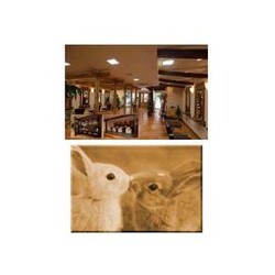 SARA SUPER STAGE 西川口店 | 川口のヘアサロン SARA SUPER STAGE 西川口店 | 川口のヘアサロン