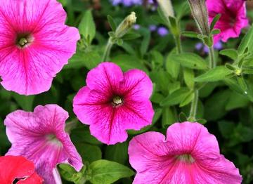 brook MISM | 幸手のヘアサロン brook MISM | 幸手のヘアサロン