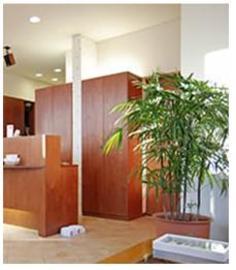 Cé la vie  Dress Hair | 銚子のヘアサロン