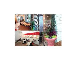 LAPIS maintenance salon【ラピス】 | 宇都宮のヘアサロン LAPIS maintenance salon【ラピス】 | 宇都宮のヘアサロン