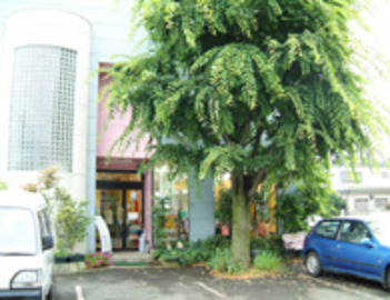 HAIR MAKE Circle de Circle 城南店 | 小山のヘアサロン HAIR MAKE Circle de Circle 城南店 | 小山のヘアサロン