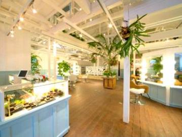 ｍａＣｏｔｏ ｈａｉｒ ｍａｈａｌｏｃｏ | 水戸のヘアサロン