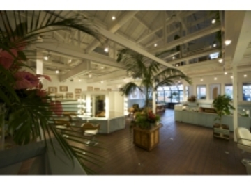 ｍａＣｏｔｏ ｈａｉｒ ｍａｈａｌｏｃｏ | 水戸のヘアサロン