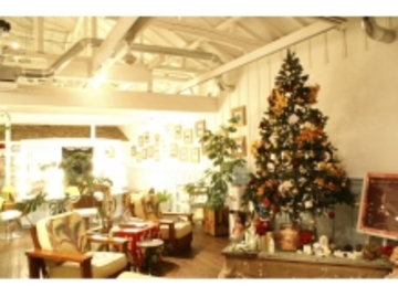 ｍａＣｏｔｏ ｈａｉｒ ｍａｈａｌｏｃｏ | 水戸のヘアサロン